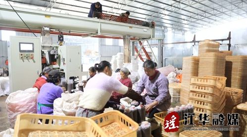 江華 人勤春來(lái)早 菌包生產(chǎn)忙