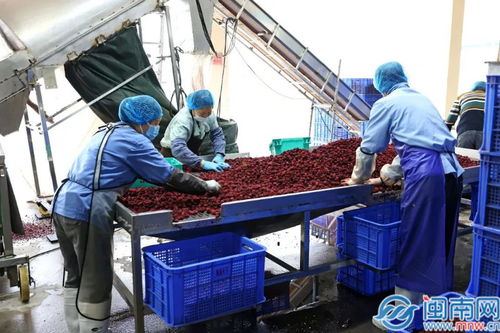 詔安縣縣長帶隊調(diào)研企業(yè)復(fù)工復(fù)產(chǎn)情況