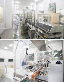 天獅榮獲 2016年度食品安全與質(zhì)量優(yōu)秀企業(yè)